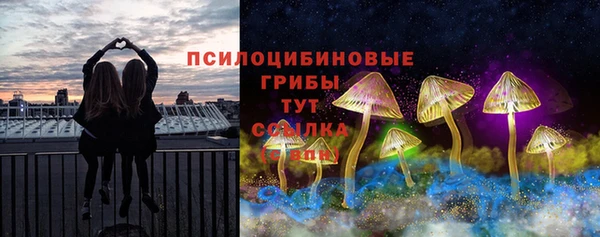 дмт Волоколамск